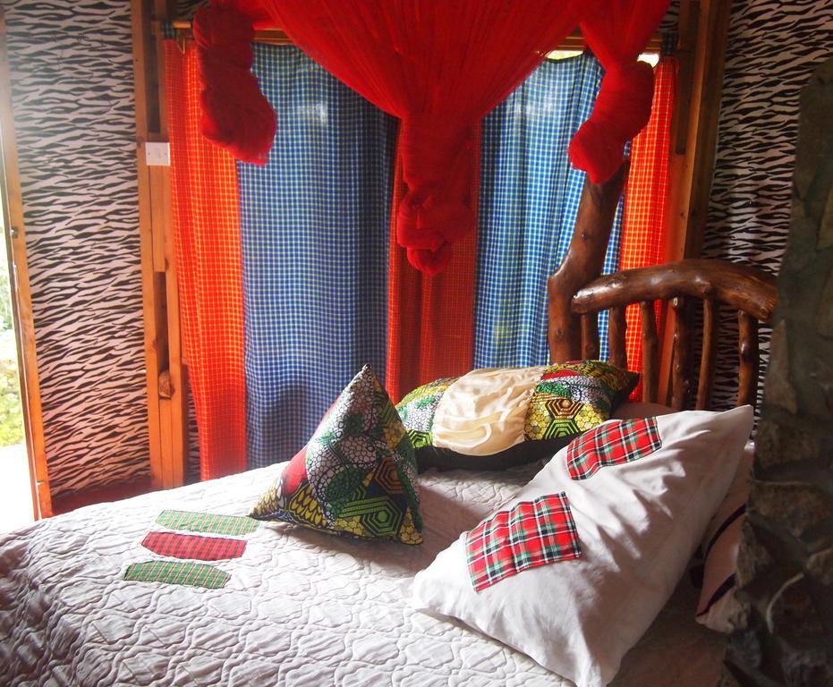 أروشا Songota Falls Lodge الغرفة الصورة